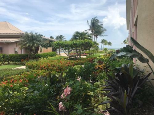 Hotel Grand Caymanian Resort