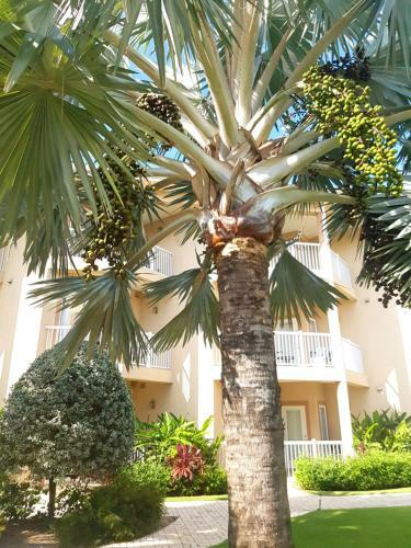 Hotel Grand Caymanian Resort