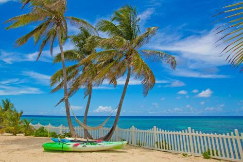 Babylon Reef By Grand Cayman Villas