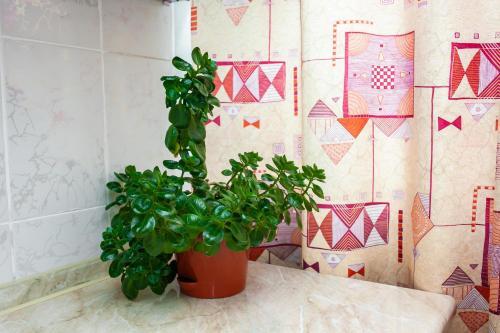 Apartamento Yourhouse ?????????? ?????-1, ??? 17