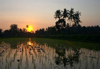 Hostal Gusti's Garden Bungalows