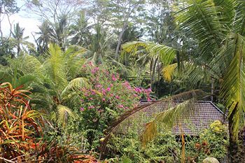 Hostal Gusti's Garden Bungalows