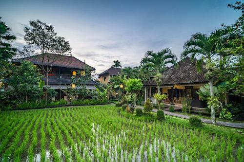 Hostal Bliss Ubud Spa & Bungalow