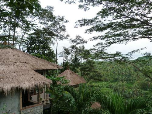 Hostal Green Spirit Villa