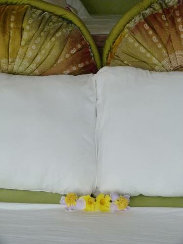 Hostal Green Spirit Villa