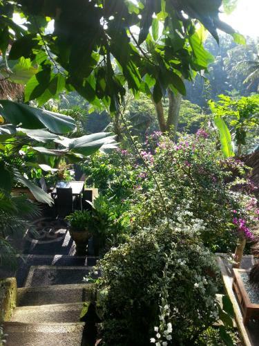 Hostal Green Spirit Villa