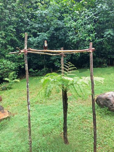 Shadow Grove Camping & Cabins Kitulgala