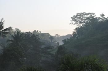 Villa Umah Shanti
