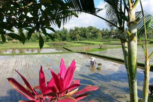 Bali Harmony Villa