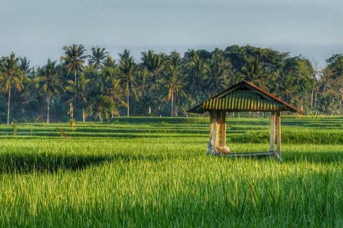 Bali Harmony Villa