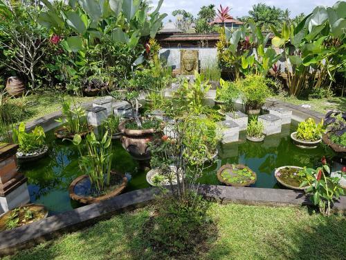 Hostal Rumah Sungai Villa