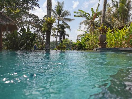 Hostal Rumah Sungai Villa