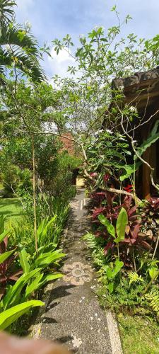 Hostal Rumah Sungai Villa