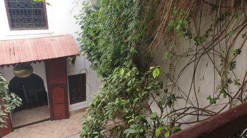 Hostal Riad Neela