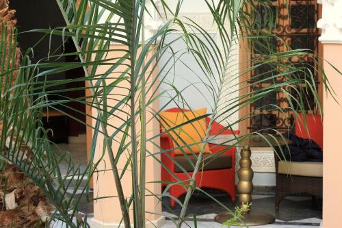 Riad Siwan
