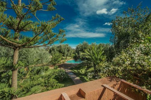 Villa Les Oliviers - A Setting Of Tranquility