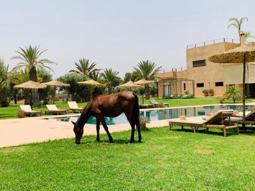 Hostal Marrakech Retreat By La Siredrah