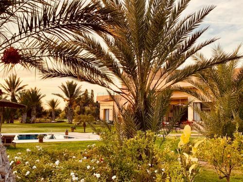 Hostal Marrakech Retreat By La Siredrah