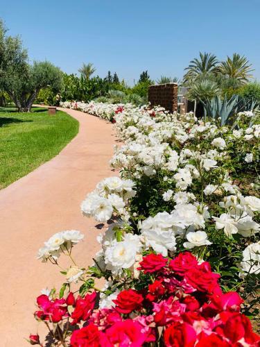 Hostal Marrakech Retreat By La Siredrah