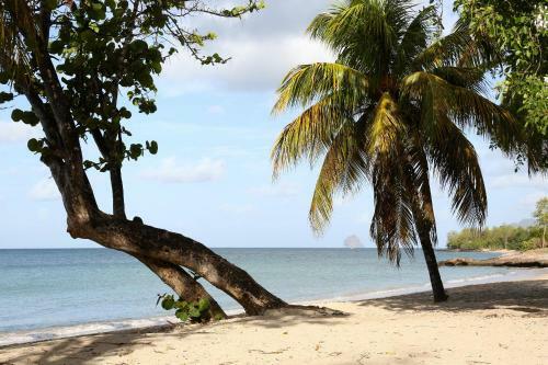 Hotel R�sidence Pierre & Vacances Premium Les Ilets