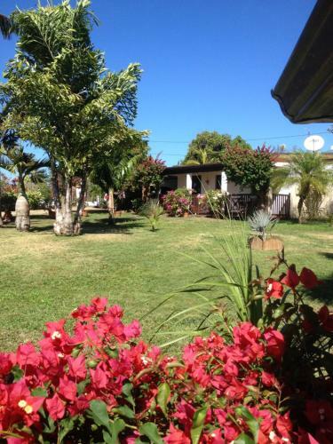 Hostal Le Bungalow Des Bougainvilliers