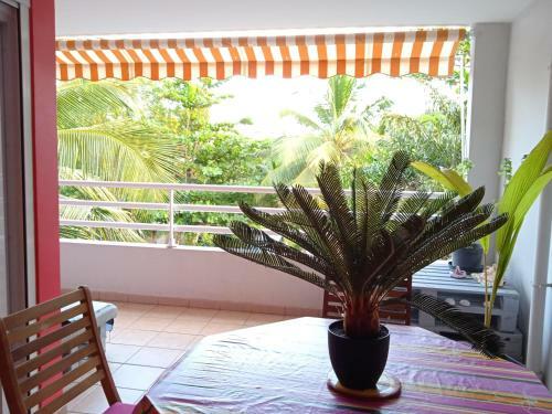 Apartamento Vanille Sucr�e