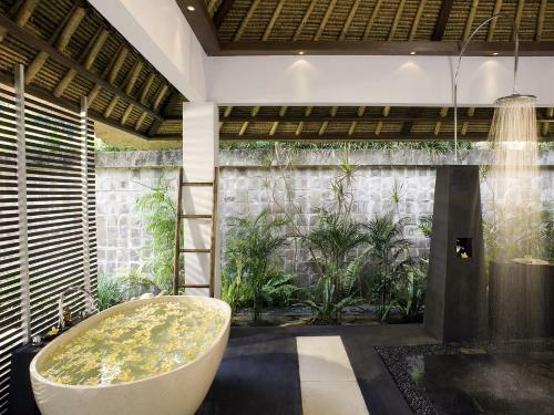 Villa Maya Retreat