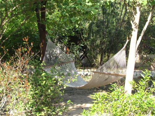 Hotel Jim's Jungle Retreat