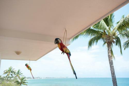 Hotel Casa Mar�a Resort