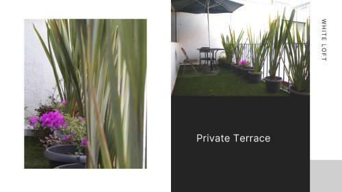Lodge White Loft,best Location In Polanco W/priv.terrace