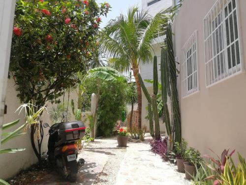 Apartamento Yellow Submarine Sea View