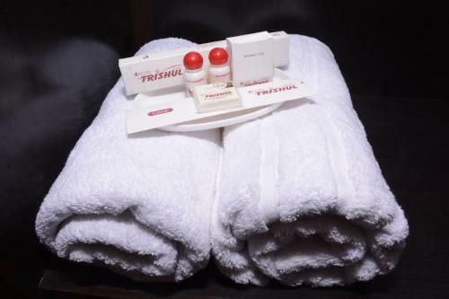 Hotel Trishul