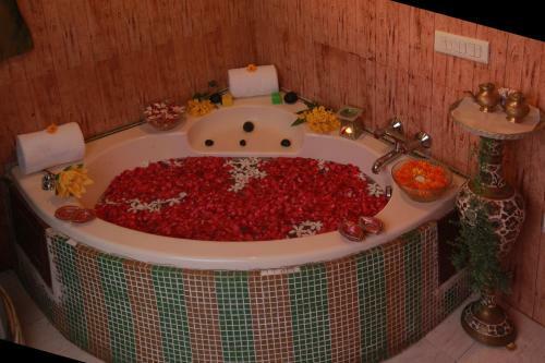 Hotel Country Inn & Suites By Carlson Haridwar
