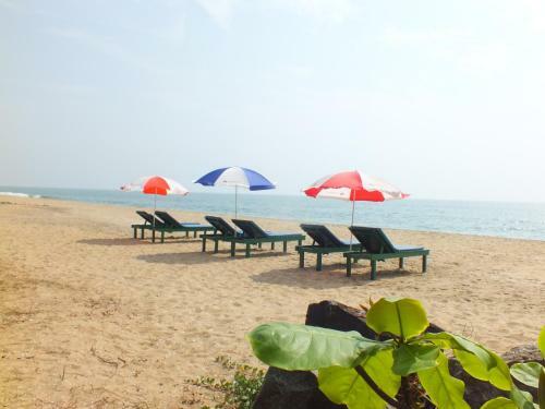 Bed & Breakfast Cherai Beach Residency