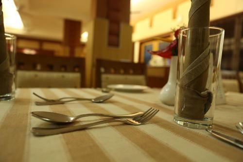 Hotel Airlink Castle