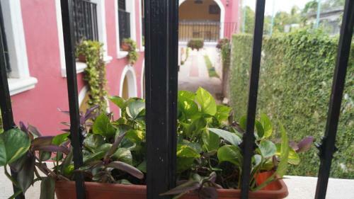 Hotel Santa Ana