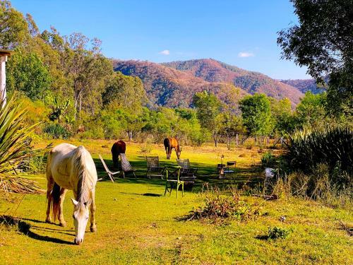 Rancho El Reencuentro Eco-hotel