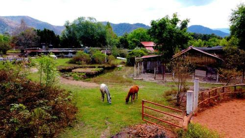 Rancho El Reencuentro Eco-hotel