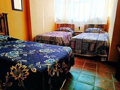 Albergue Hostal Casa De Las Margaritas