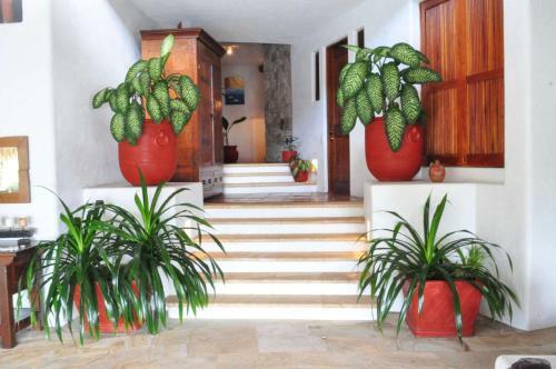 Villa Encantada At Staypv