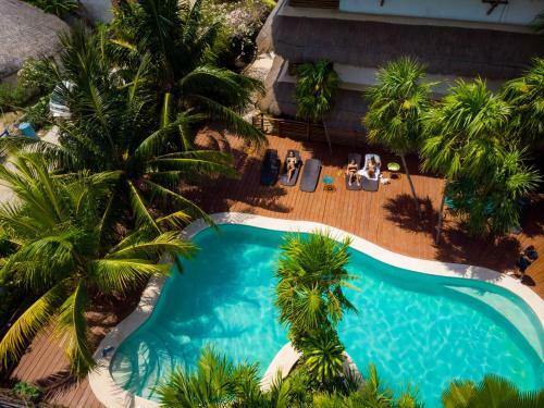 Hotel Tropical Suites By Mij