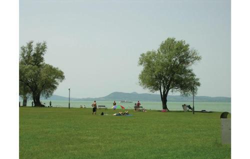 Apartment Kupa Vez�r Utca-balatonbogl�r