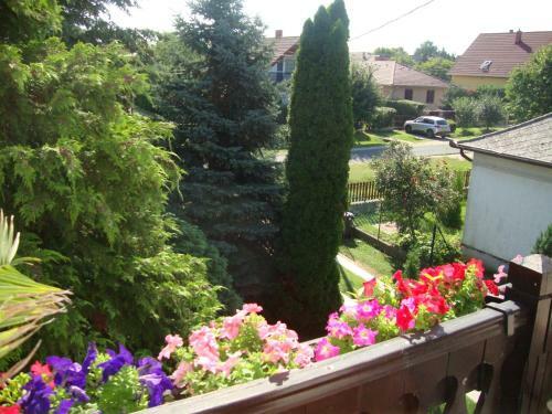 Apartamento Tulip�n Vend�gh�z