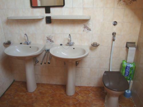 Apartamento Tulip�n Vend�gh�z