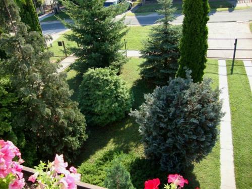 Apartamento Tulip�n Vend�gh�z