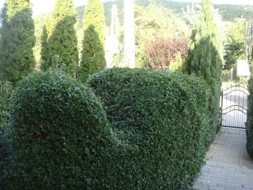 Hostal Szent Kristof Panzio