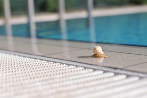 Aqua Wellness Apartments