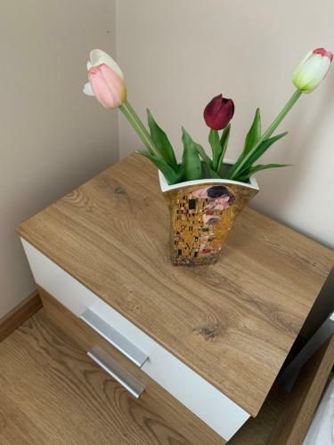 Zsuzsa Apartman Hajd�szoboszl�