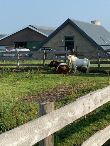 Bed & Breakfast Herberg Boerderij De Straat-hof