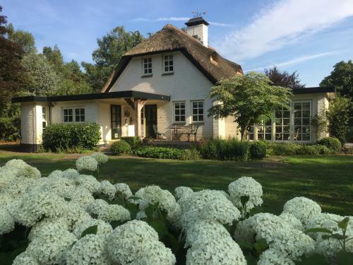 Veld En Bosch